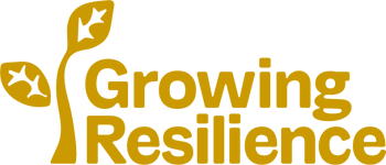 Growing Resilience (yellow)